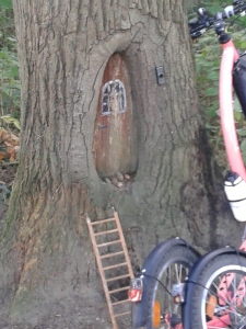 Stepsafari naar Ootmarsum