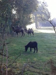 fotos-mobiel-16-10-16-373